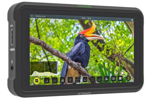 Накамерный монитор Atomos Shinobi 5.2″ 4K обложка статьи