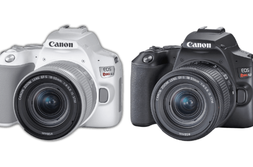 Зеркальная камера начального уровня Canon EOS 250D (Rebel SL3) - обложка статьи