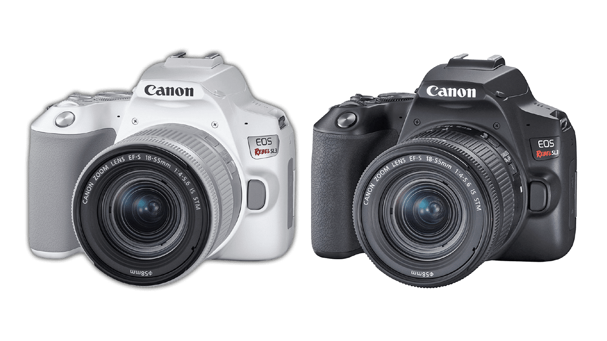 Зеркальная камера начального уровня Canon EOS 250D (Rebel SL3) - обложка статьи