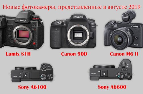 Новые фотокамеры на август 2019 - Lumix S1H, Canon 90D и M6-2, Sony A6100 и A6600 - обложка статьи