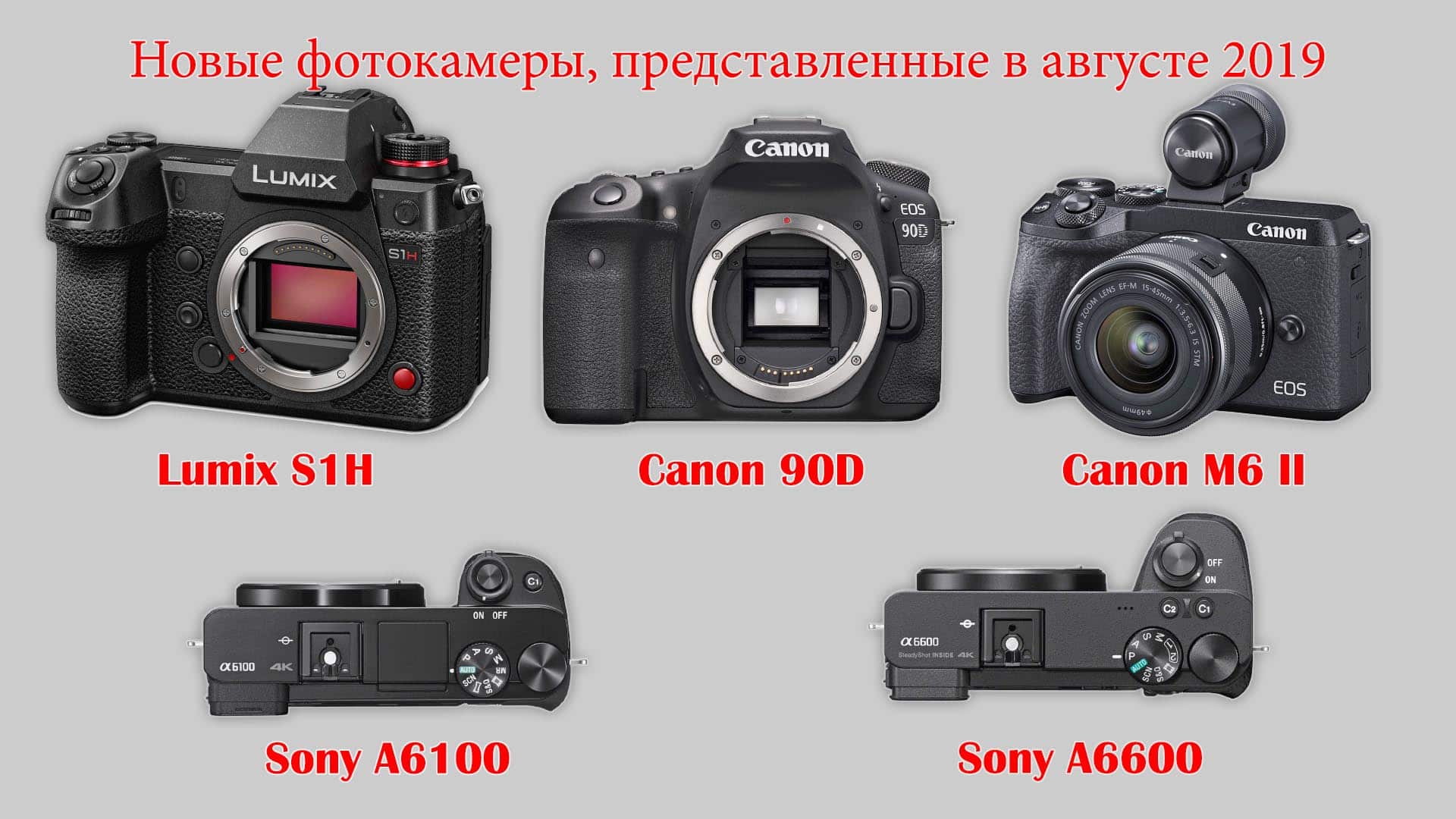 Новые фотокамеры на август 2019 - Lumix S1H, Canon 90D и M6-2, Sony A6100 и A6600 - обложка статьи