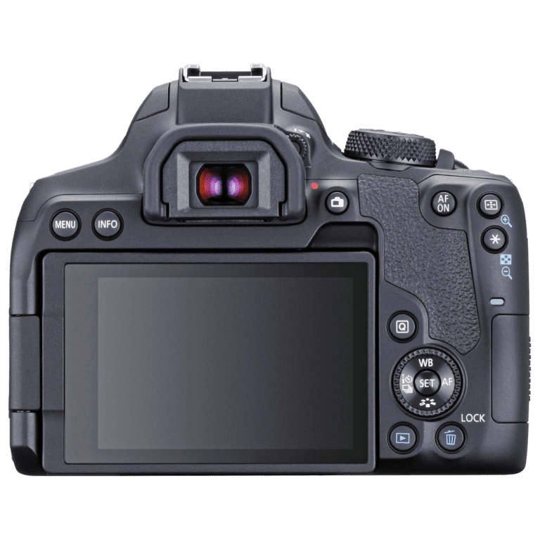 Фотоаппарат Canon EOS 850D (Rebel T8i) - вид сзади